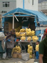 14-Vegetable market